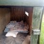 Dog box ,Dog house ,Dog hotel, Dog kennel Image 4