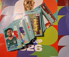 Panini World Cup Stickers - Swaps available