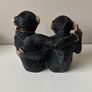 The Leonardo Collection Cheeky Monkeys Twin Image 3