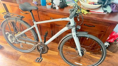 mens bike