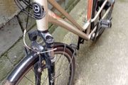 adults bike