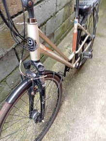 adults bike
