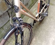 adults bike