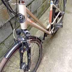 adults bike