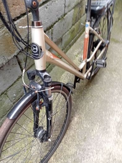 adults bike