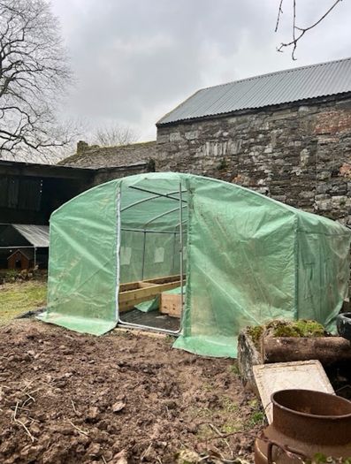 Polytunnel and top quality Raised Beds
