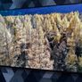 sharp smart tv Image 3