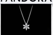 Pandora Sparkling Herbarium Cluster Necklace and Matching Earrings Set