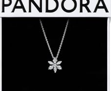 Pandora Sparkling Herbarium Cluster Necklace and Matching Earrings Set