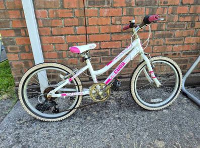 20-inch girls bike
