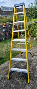 Werner 8 thread Fibreglass Ladder