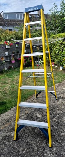 Werner 8 thread Fibreglass Ladder