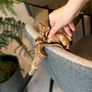 Unique Handmade Walking Stick, Spaniel Handle, Never Used Image 9