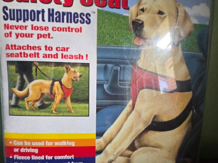 Support Harness for dog