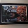framed wall pictures Image 4