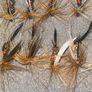 Fly Collection Image 10