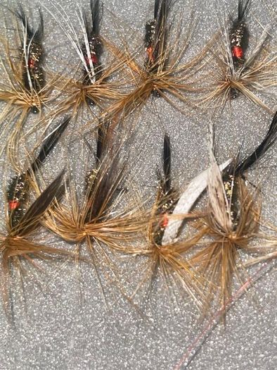 Fly Collection