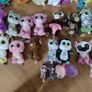 Beanie Boo Image 4