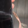 Nokia X20 Image 3