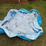 Small pool needs cleaning Image 2