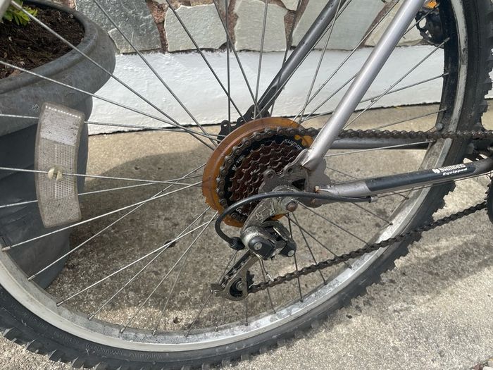 mountain bike adult size