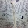 Book: The Environment Image 5