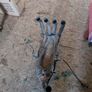 CBR600RR Standard Exhaust Including headers Image 3