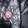 Canada Goose Image 2