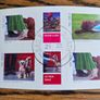 2006 Ireland Chinese New Year Year of the Dog Commemorative Stamps Miniature Sheet Mint Never Hinged (MNH) Image 4