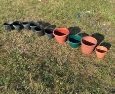 10 pots..plastic and terracotta