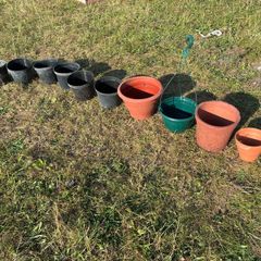10 pots..plastic and terracotta