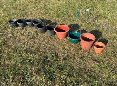 10 pots..plastic and terracotta