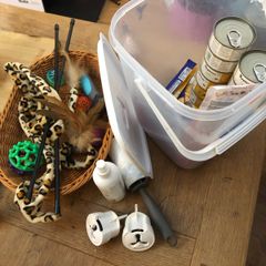 Cat Care Bundle