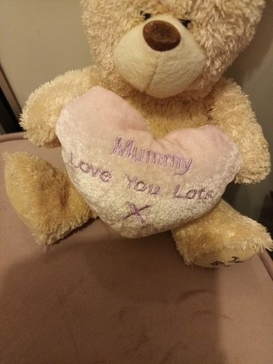Mothers Day mummy love you lots Teddy