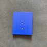 pokemon blue for Gameboy Color Image 2