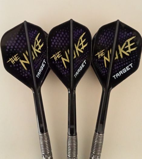 Darts - Luke Littler G1 Pixels (23g)