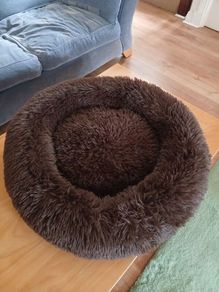 Dog bed
