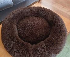 Dog bed