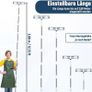 Brand New Telescopic Window Squeegee 2-in-1 Pole 388cm. Image 2