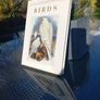 Large hardback book on bird illustrations, D18 post 7e Image 3