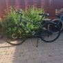 Electric assist bike Image 2
