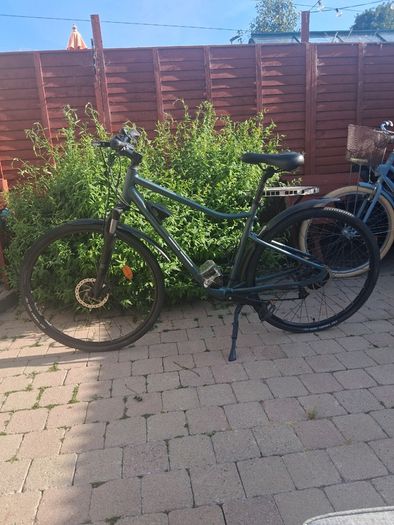Electric assist bike