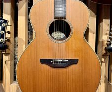 1993 Takamine EN40 (MIJ)