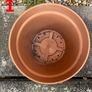 Garden Flower Plant Pots Image 3