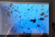 lenovo android tablet