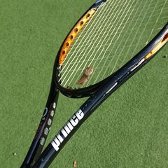 Prince Tennis Racket