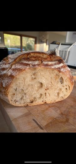 Sourdough starter Organic