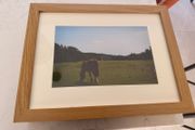 Framed Original print kinnitty Castle