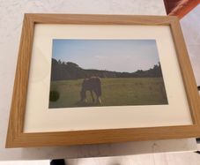 Framed Original print kinnitty Castle