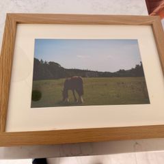 Framed Original print kinnitty Castle